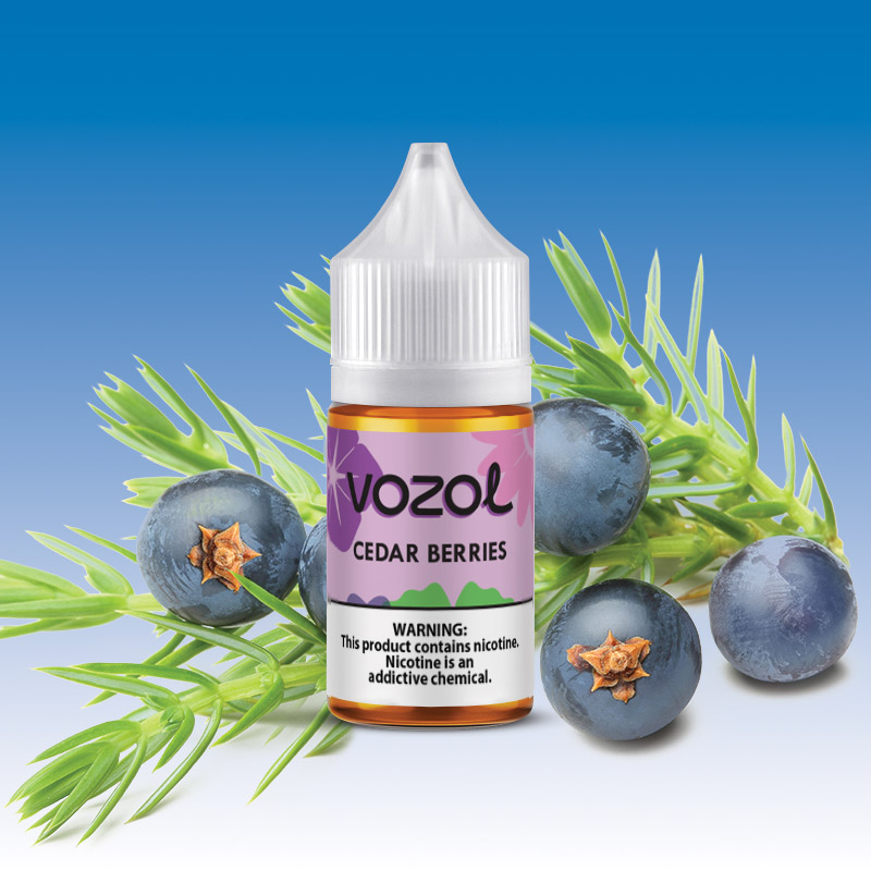 Vozol Bar Cedar Berries 30 ML Likit  en uygun fiyatlar ile ebuhar da!  Vozol Bar Cedar Berries 30 ML Likit özellikleri, fiyatı, incelemesi, yorumları ve taksit seçenekleri için hemen tıklayın!