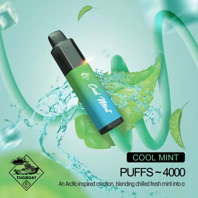 Tugboat Mega Flow 4000 Cool Mint  en uygun fiyatlar ile ebuhar da!  Tugboat Mega Flow 4000 Cool Mint özellikleri, fiyatı, incelemesi, yorumları ve taksit seçenekleri için hemen tıklayın!